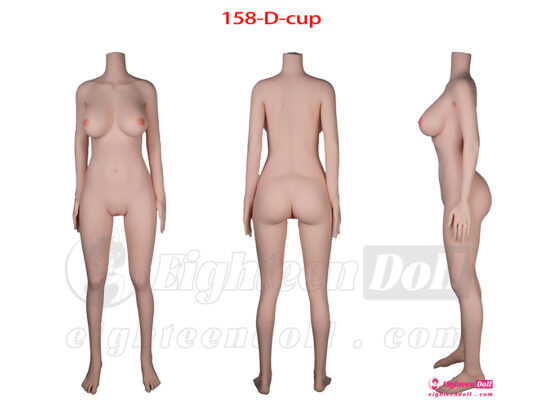JXDoll-Body Size-158-D-cup-en