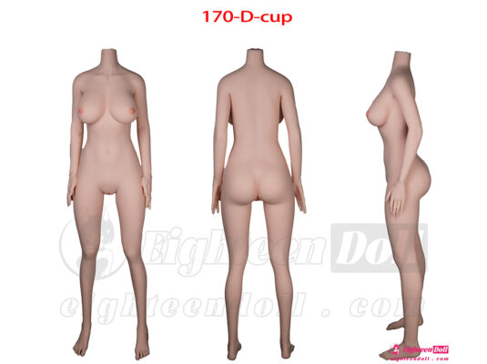 JXDoll-Body Size-170-D-cup-en