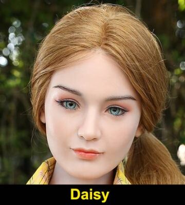 Starpery-Head-Daisy