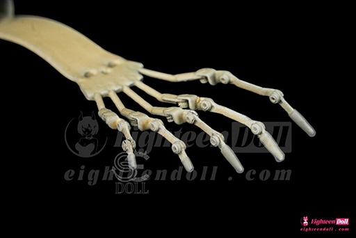 SE-Articulated Toes-05